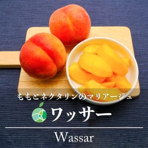 長野県産 ワッサー もも+ネクタリン 約1kg 3-6玉 ｜ 桃 国産 フルーツ ｜ ギフト プレゼント 贈り物 お供え お見舞い