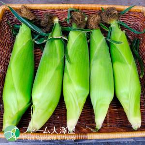 信濃町産ゴールドラッシュ とうもろこし 2L ...の詳細画像1
