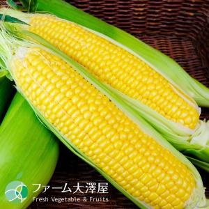 信濃町産ゴールドラッシュ とうもろこし 2L ...の詳細画像2