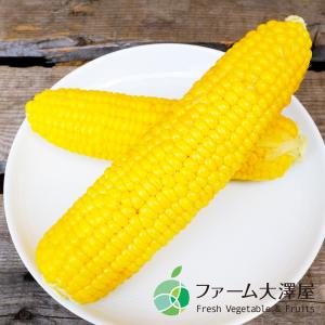 信濃町産ゴールドラッシュ とうもろこし 2L ...の詳細画像4