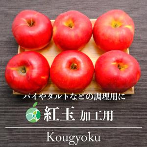 加工用　生食には適しません　紅玉　りんご　約2kg　7〜14玉　長野県産