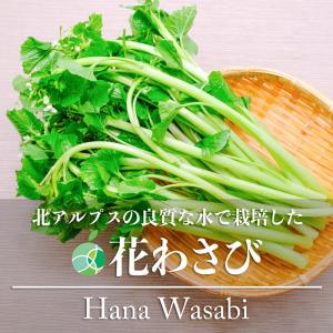 花わさび　花ワサビ　野菜　10束　約1kg　長野県安曇野産