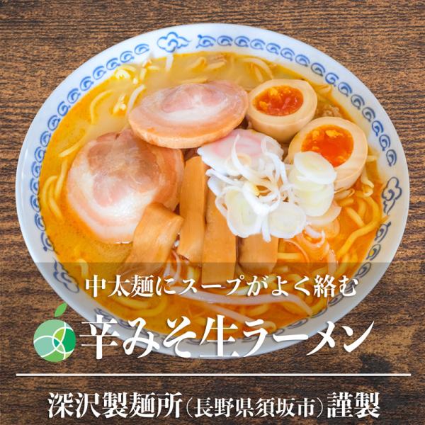 送料無料　長野県・須坂の辛みそラーメン　5食セット　中太麺　麺1玉約160g　コシが強くモチモチ　熟...