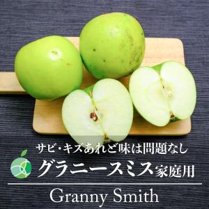 サビ・キズあり　グラニースミス　りんご　家庭用　約10kg　20-46玉　長野県産　クッキングアップル　加工用