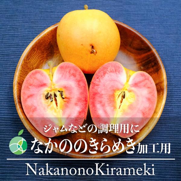 加工用　生食には適しません　なかののきらめき　りんご　家庭用　約1.5kg　4〜7玉　長野県中野市産