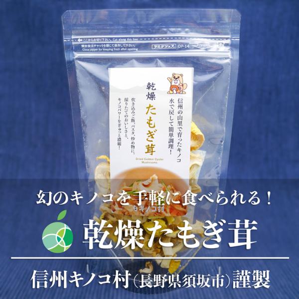 乾燥たもぎ茸　3袋セット　内容量1袋15g　長野県須坂市産　信州キノコ村　平茸　だし　乾物　贈り物　...