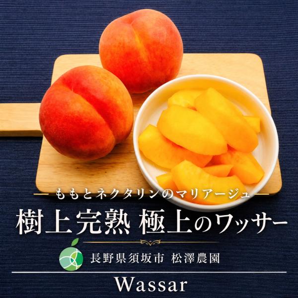 樹上完熟 ワッサー 約2kg | 長野県須坂市松澤農園 | 桃とネクタリンの交配品種