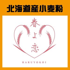 ヤマチュウ（山本忠信商店）「春よ恋100％」北海道産パン用小麦粉