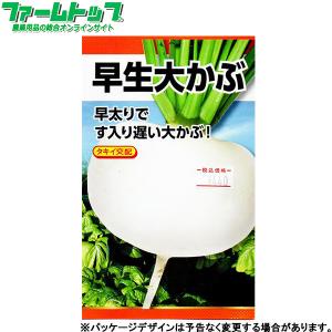 日本農産　野菜の種/種子　かぶ　早生大かぶ　内容量3ml　約560粒　種 （追跡可能メール便全国送料一律370円）25840