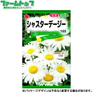 トーホク　花の種/種子　シャスターデージー　内容量1ml　種 （追跡可能メール便発送　全国一律370円）09141