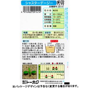トーホク 花の種/種子 シャスターデージー 内...の詳細画像1