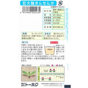 トーホク 花の種/種子 巨大輪きんせんか 内容...の詳細画像1
