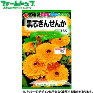トーホク　花の種/種子　黒芯きんせんか　内容量3ml　種 （追跡可能メール便発送　全国一律370円）00252