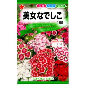 トーホク　花の種/種子　美女なでしこ　内容量1ml　種 （追跡可能メール便発送　全国一律370円）00305