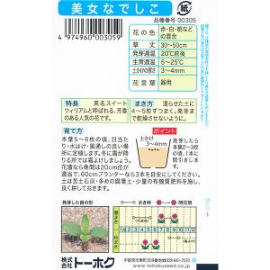 トーホク 花の種/種子 美女なでしこ 内容量1...の詳細画像1