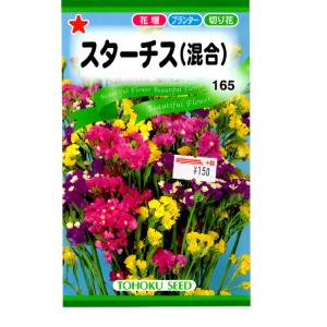 トーホク　花の種/種子　スターチス（混合）　内容量0.2ml　種 （追跡可能メール便発送　全国一律370円）09230