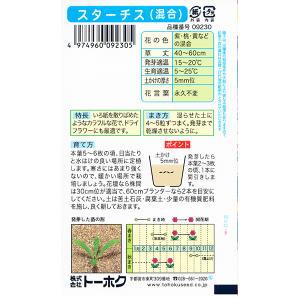 トーホク 花の種/種子 スターチス(混合) 内...の詳細画像1