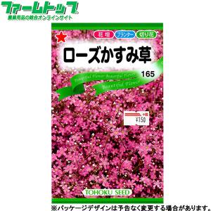 トーホク　花の種/種子　ローズかすみ草　内容量0.5ml　種 （追跡可能メール便発送　全国一律370円）00646