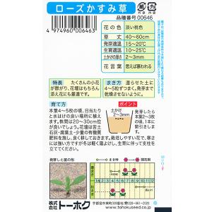 トーホク 花の種/種子 ローズかすみ草 内容量...の詳細画像1