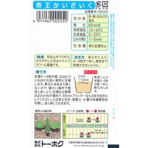 トーホク 花の種/種子 帝王かいざいく 内容量...の詳細画像1