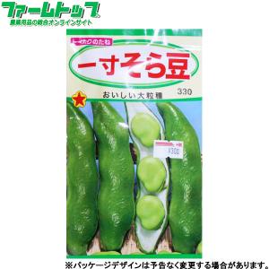 トーホク　野菜の種/種子　ソラマメ　一寸そら豆　内容量45ml　種 （追跡可能メール便発送　全国一律370円）06327