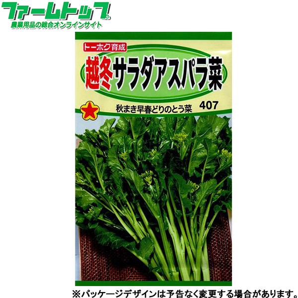 トーホク　野菜の種/種子　越冬サラダアスパラ菜　内容量2.5ml　種 （追跡可能メール便発送　全国一...