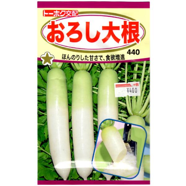 トーホク　野菜の種/種子　だいこん　大根　おろし大根　内容量3ml　種（追跡可能メール便発送　全国一...