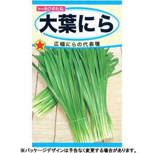 トーホク 野菜の種/種子 ニラ 大葉にら 内容量...の商品画像