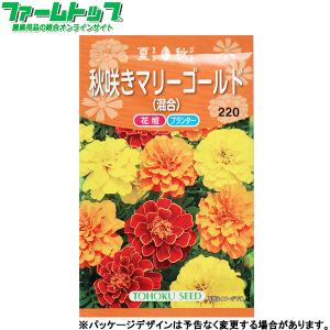 トーホク　花の種/種子　秋咲きマリーゴールド（混合）　内容量4ml　種　（追跡可能メール便発送　全国一律370円）04098　　　