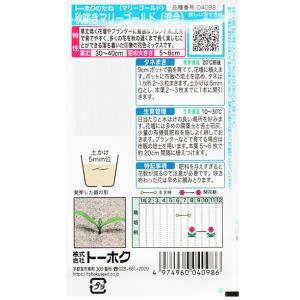 トーホク 花の種/種子 秋咲きマリーゴールド(...の詳細画像1
