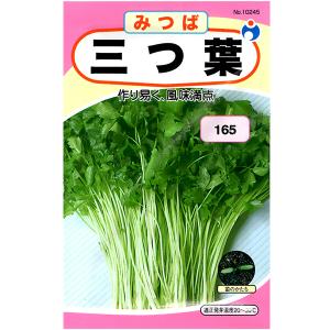三つ葉 種子の商品一覧 通販 Yahoo ショッピング