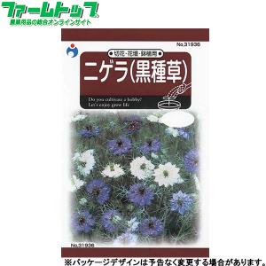 花の種 ニゲラの商品一覧 通販 Yahoo ショッピング