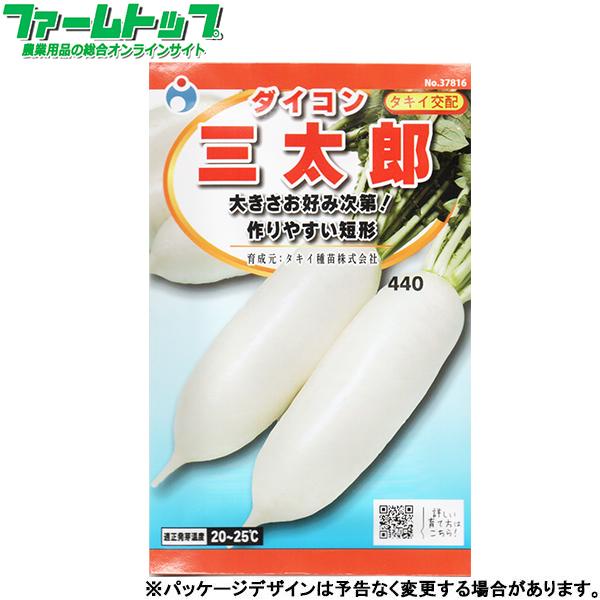 ウタネ　野菜の種/種子　大根　だいこん　三太郎　内容量2.5ml　種 （追跡可能メール便発送　全国一...
