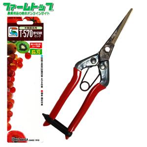 佐保 植木用 切箸 白紙鋼 8寸 植木鋏 きりばし 木鋏 : ほんまもん