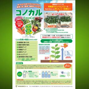 有機酸カルシウム液肥 コノカル 500ml 葉...の詳細画像2