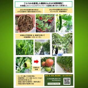 有機酸カルシウム液肥 コノカル 500ml 葉...の詳細画像3