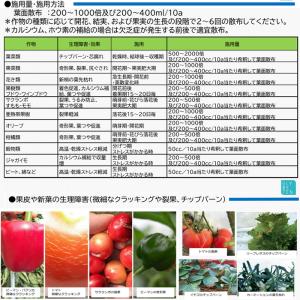 裂果軽減・ホウ素・カルシウム補給剤 グリべテン1Lの詳細画像1