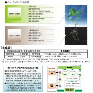 ハイポネックス 有機活力液肥 ボンバルディア 20Lの詳細画像1