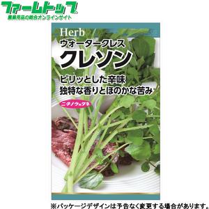 日本農産 野菜の種/種子 ハーブ クレソン 内容...の商品画像