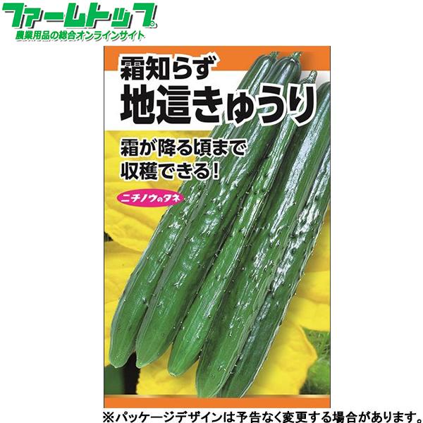 日本農産　野菜の種/種子　きゅうり　霜知らず地這きゅうり　種　（追跡可能メール便発送　全国一律370...