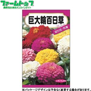 日本農産　花の種/種子　百日草　巨大輪百日草　内容量2ml　種　（追跡可能メール便発送　全国一律370円）40018　　　