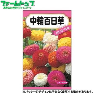 日本農産　花の種/種子　百日草　中輪百日草　内容量2ml　種　（追跡可能メール便発送　全国一律370円）40028　　　