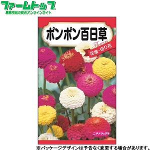 日本農産　花の種/種子　百日草　ポンポン百日草　内容量2ml　種　（追跡可能メール便発送　全国一律370円）40038　　　
