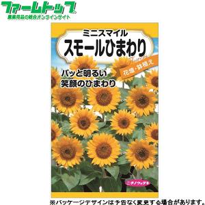 トーホク 花の種/種子 ひまわり 大輪ひまわり 内容量3ml 種 （追跡可能