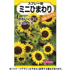 トーホク 花の種/種子 ひまわり 大輪ひまわり 内容量3ml 種 （追跡可能