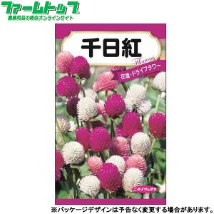 日本農産　花の種/種子　千日紅　内容量0.5ml　種　（追跡可能メール便発送　全国一律370円）40098　　　