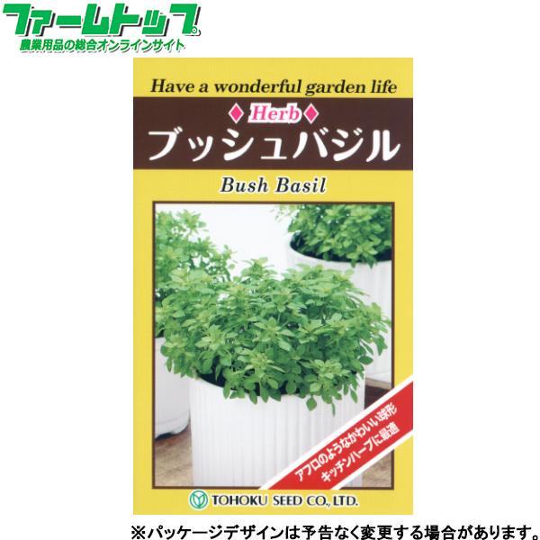 トーホク　野菜の種/種子　ハーブ　ブッシュバジル　種　（追跡可能メール便発送　全国一律370円）07...