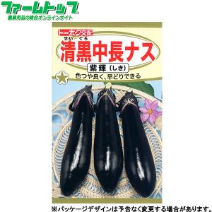百日草 花 ガーデニング の商品一覧 通販 Yahoo ショッピング