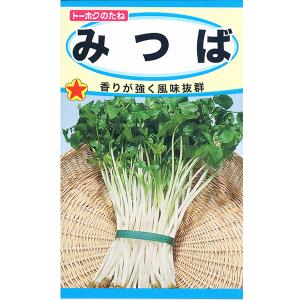 トーホク　野菜の種/種子　みつば　内容量4ml　種　（追跡可能メール便発送　全国一律370円）01349　　　