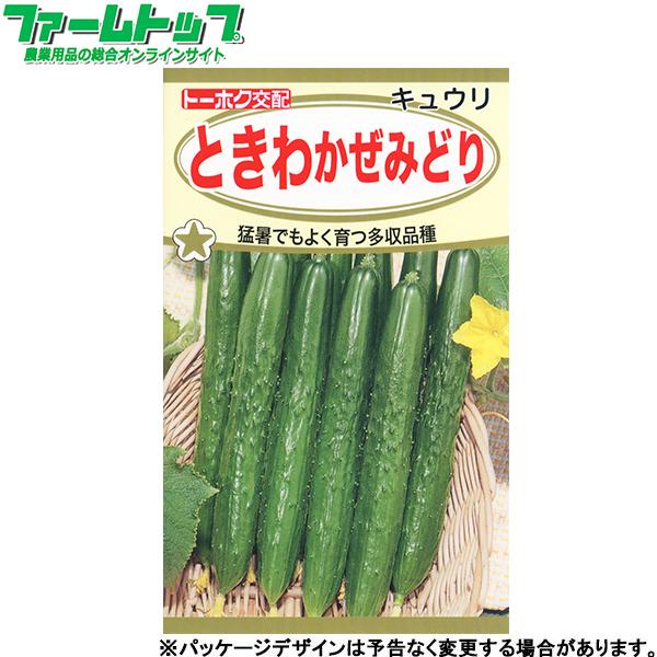 トーホク　野菜の種/種子　きゅうり　ときわかぜみどり　種　（追跡可能メール便発送　全国一律370円）...